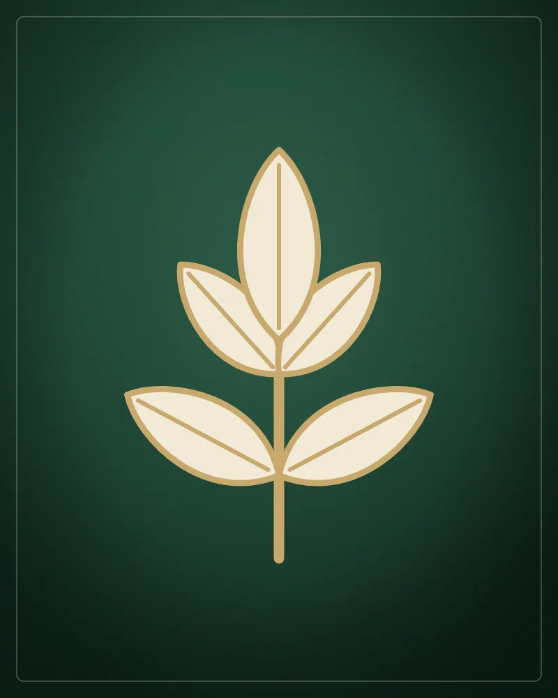 Salonumuzdan — Crassula Güzellik Salonu