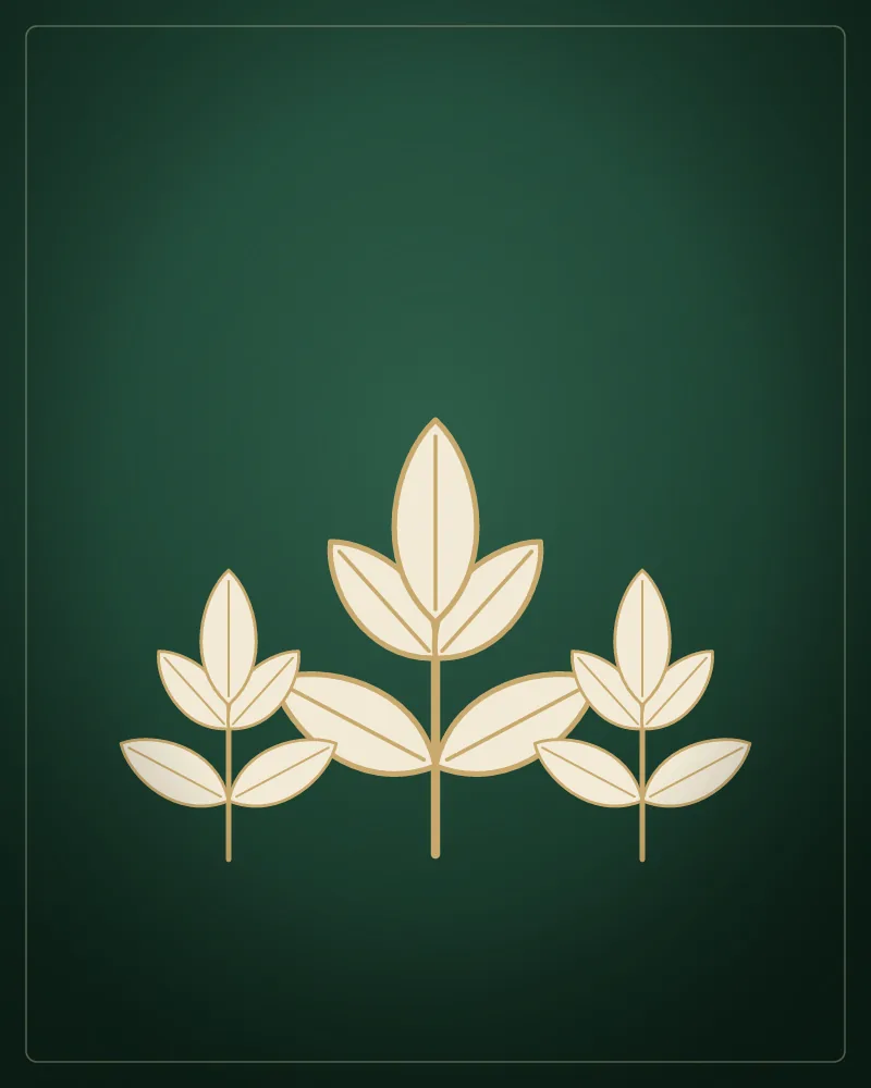 Cilt bakımı — Crassula Güzellik Salonu