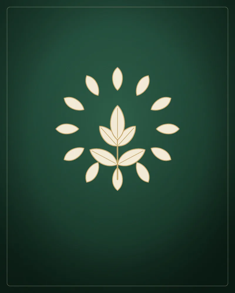Cilt gençleştirme — Crassula Güzellik Salonu