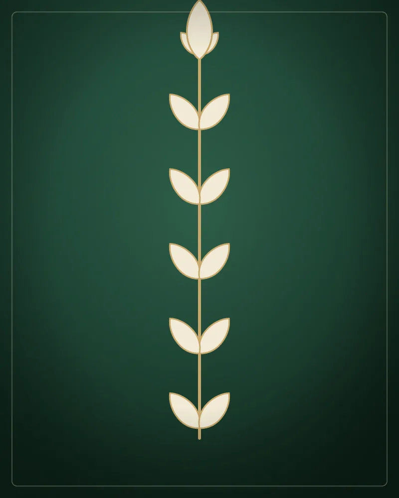 Lazer epilasyon — Crassula Güzellik Salonu